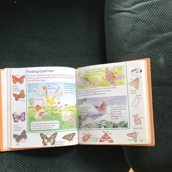 The Usborne Complete Book of Nature - Picture 8 of 15